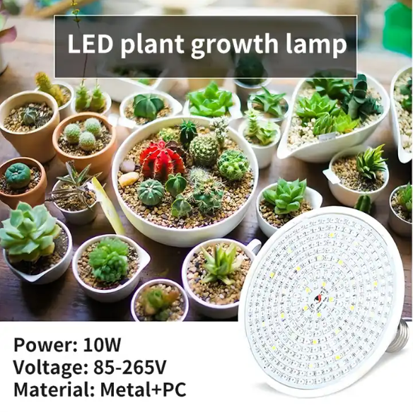 efd0330ab7e146fcb7e7a99412c2bacc.png efd0330ab7e146fcb7e7a99412c2bacc.png