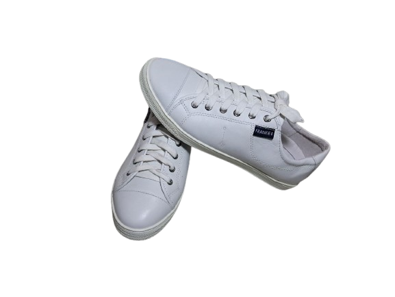a0cfd03b451f40c8957f6c3d15d84efc.png